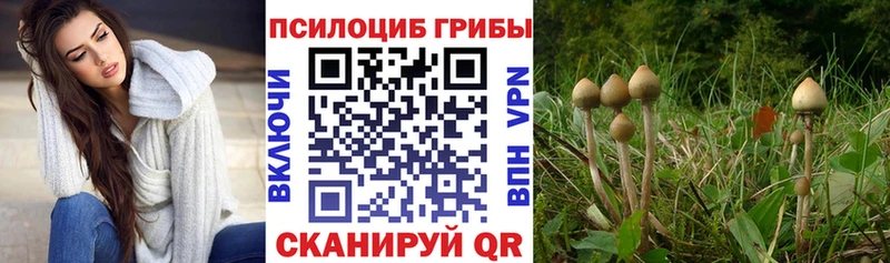 где продают наркотики  Котлас  Галлюциногенные грибы ЛСД 