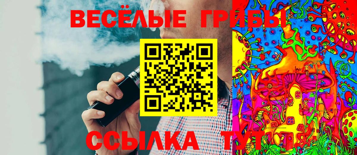 Галлюциногенные грибы Psilocybine cubensis  Псилоцибиновые грибы GOLDEN TEACHER  Вход с VPN  Котлас 