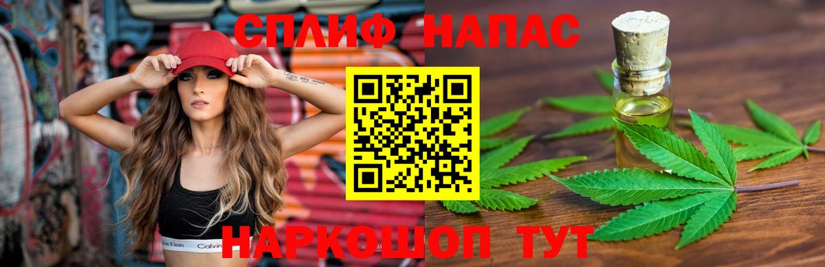 APVP Котлас